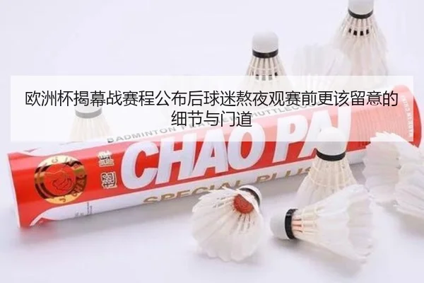 欧洲杯揭幕战赛程公布后球迷熬夜观赛前更该留意的细节与门道